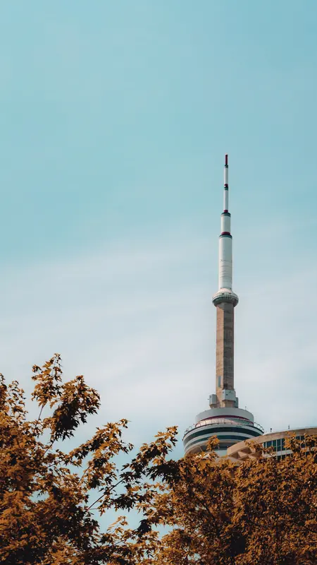 The CN Tower rising above autumn trees into a pale blue sky